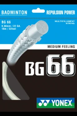 Bg66