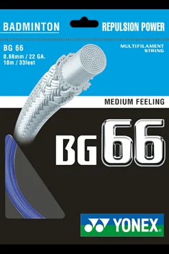 Bg66