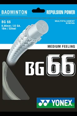 Bg66