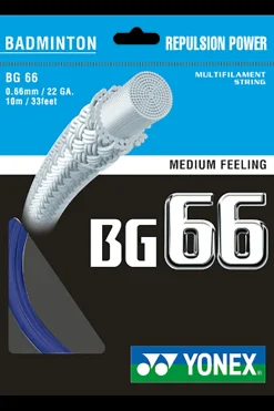 Bg66