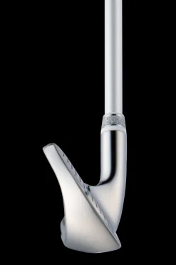 Fiore Iron