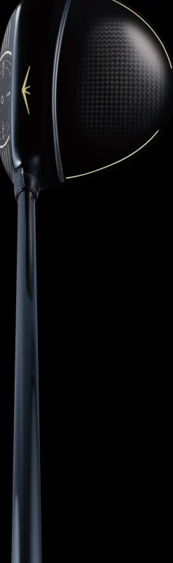 Royal Ezone Fairway Wood [Men's]_06